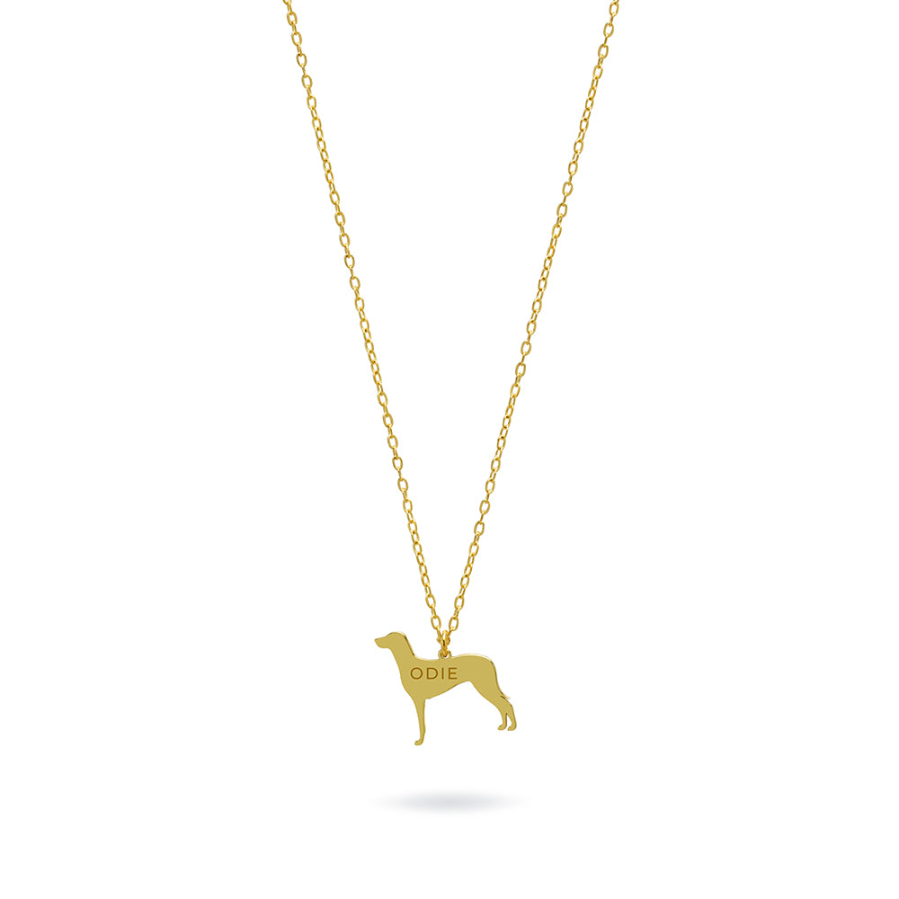 Collar Personalizable Braco de Weimar