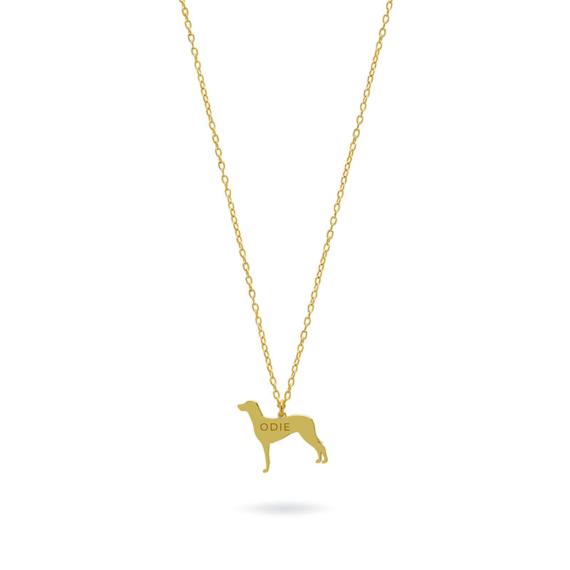 Collar Personalizable Braco de Weimar Plata