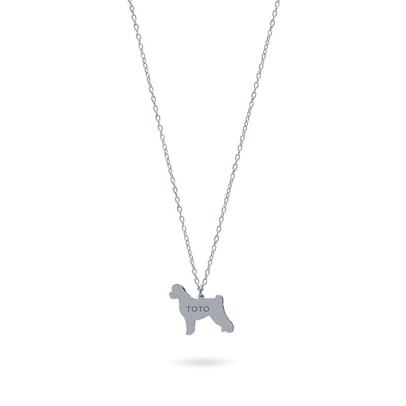 Collar Personalizable Perro de Agua Plata