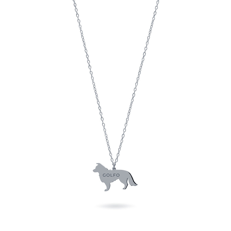Collar Personalizable Border Collie Plata