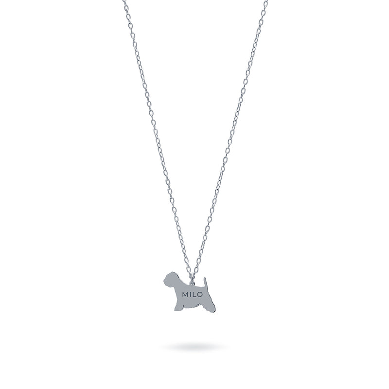 Collar Personalizable Terrier Plata