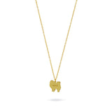 Collar Personalizable Pomerania Plata