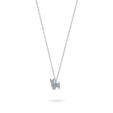 Collar Personalizable Yorkshire Plata