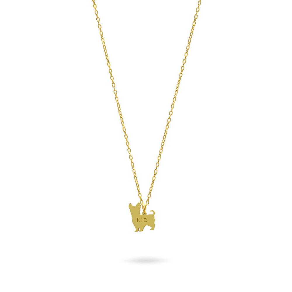 Collar Personalizable Yorkshire