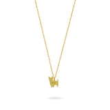Collar Personalizable Yorkshire Plata