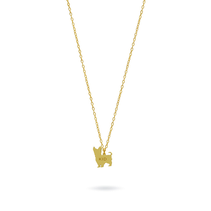 Collar Personalizable Yorkshire Plata