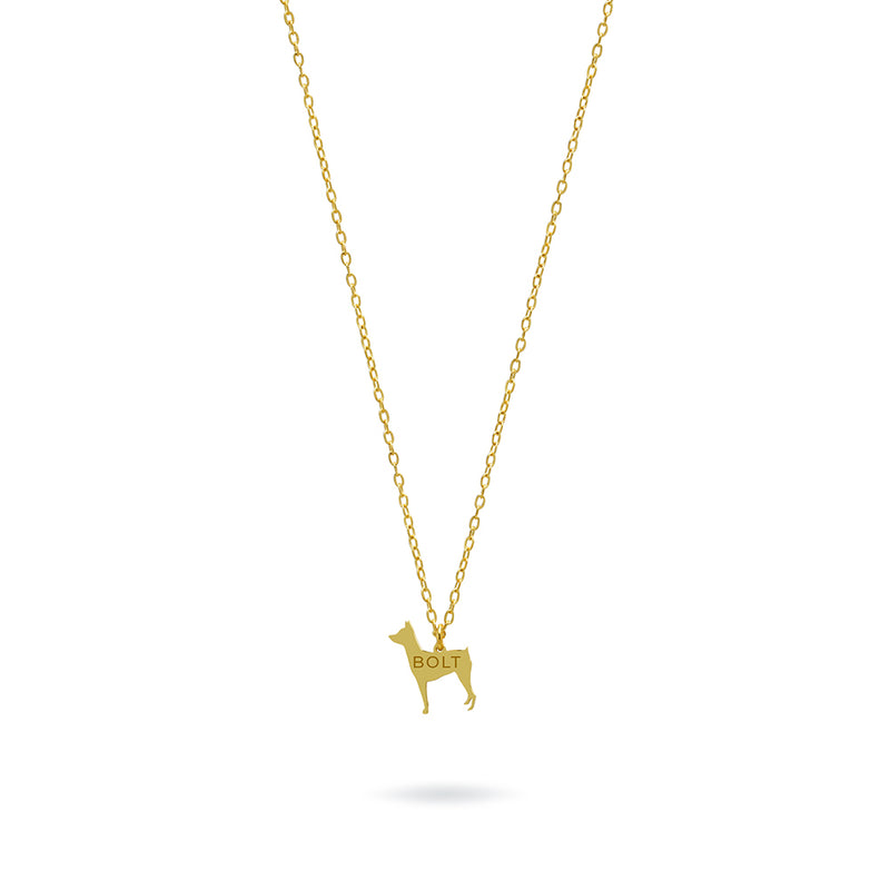 Collar Personalizable Pinscher Plata