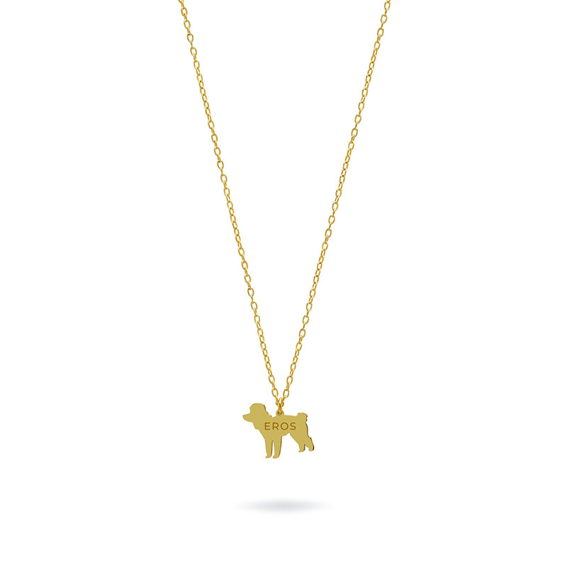 Collar Personalizable Caniche Plata