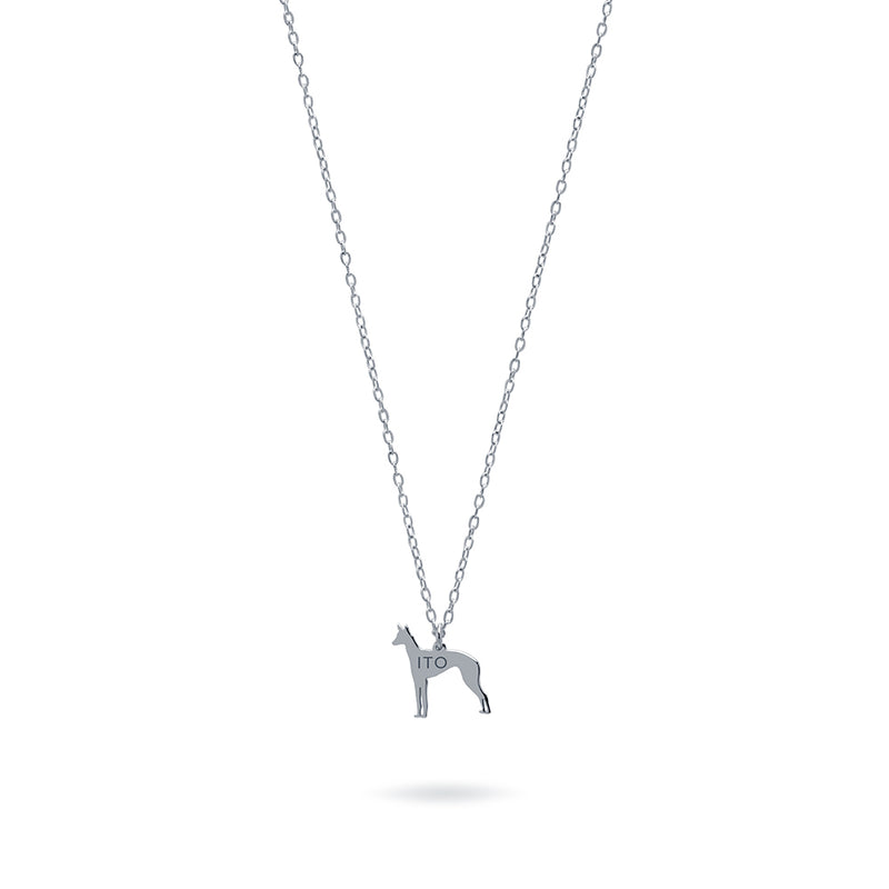 Collar Personalizable Podenco Plata