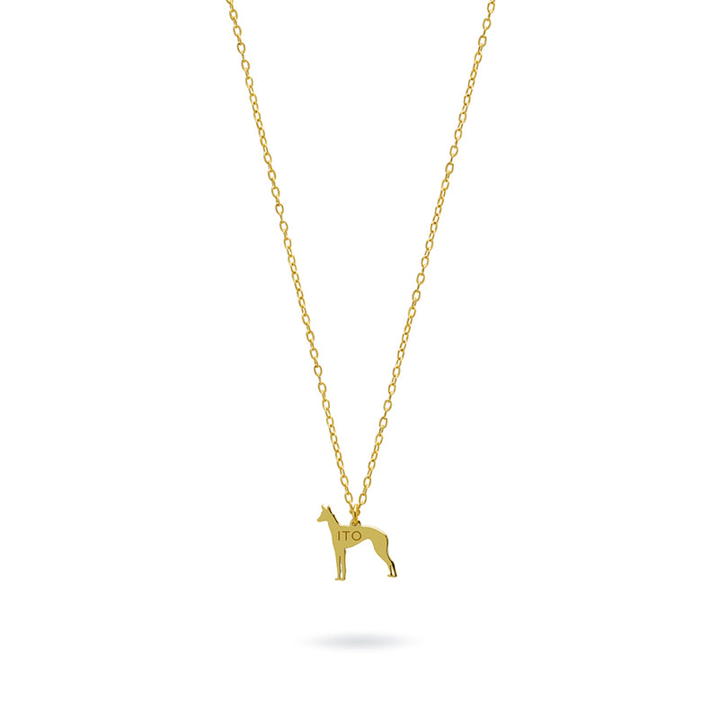 Collar Personalizable Podenco Plata