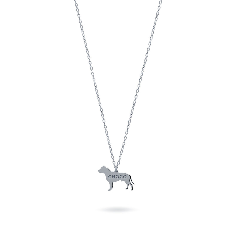 Collar Personalizable Pitbull Plata
