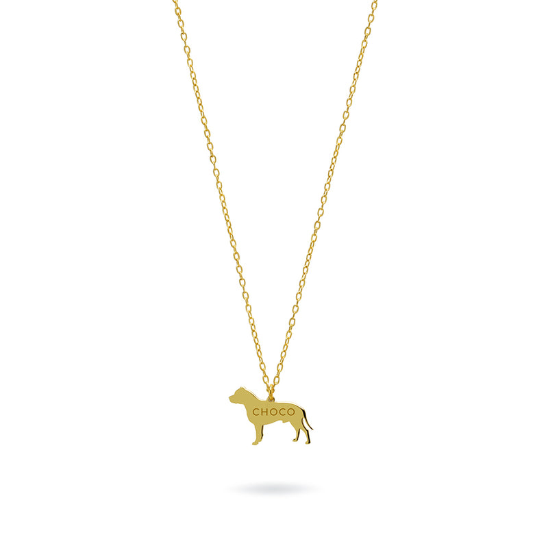 Collar Personalizable Pitbull Plata