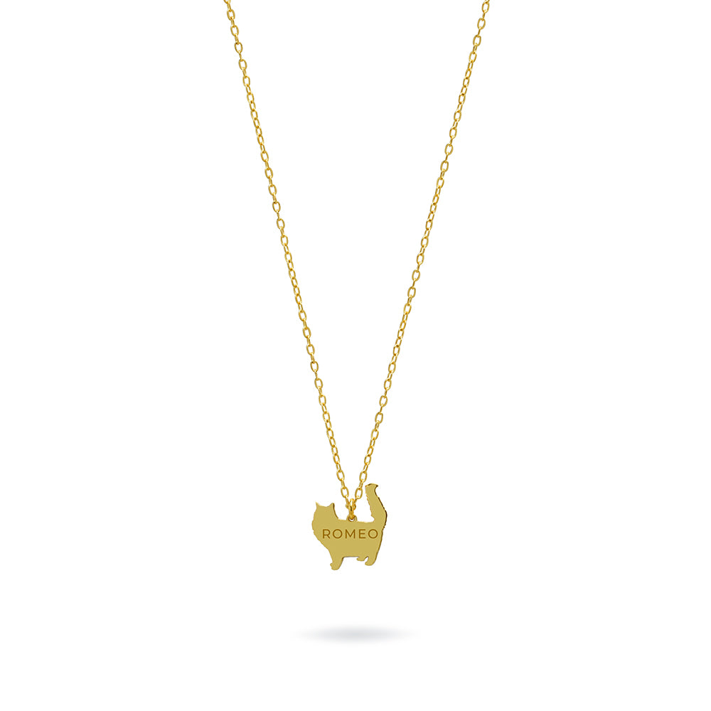 Collar Personalizable Gato con pelo largo