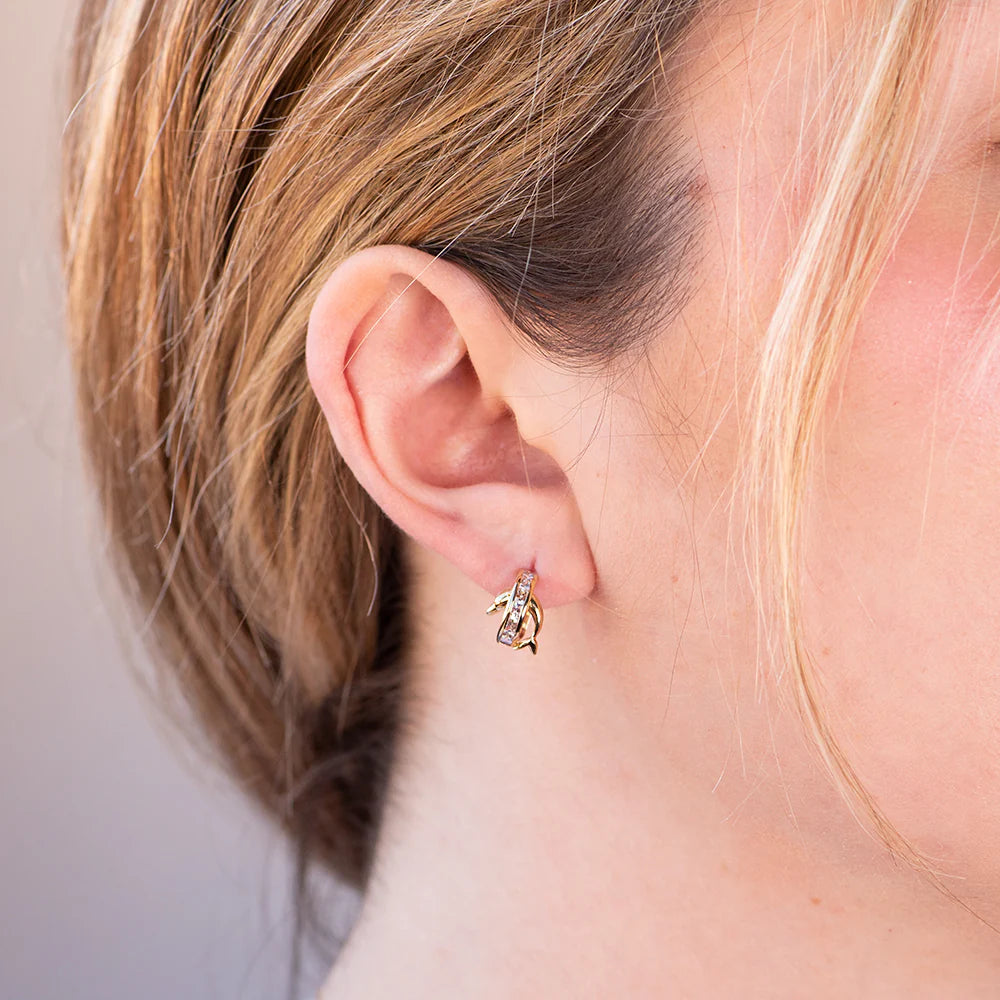 Pendientes Delfín de Oro 9K con Circonitas
