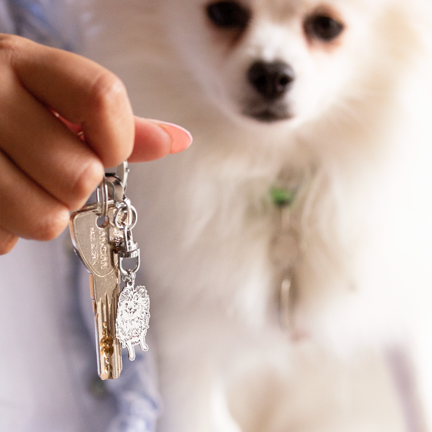 joyas-personalizadas-mascotas