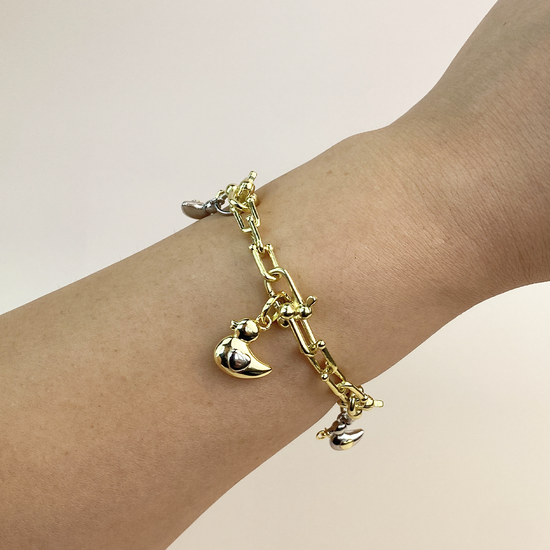 Pulsera Eslabones PATOdalaVida Plata