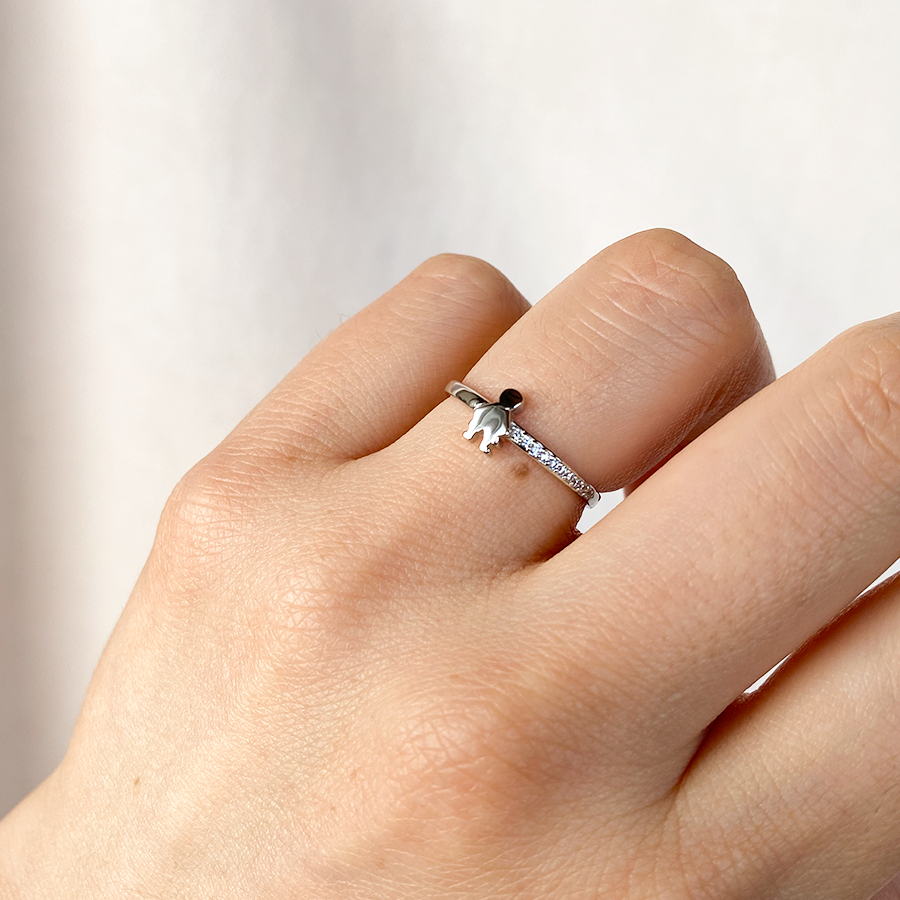 Anillo Niño