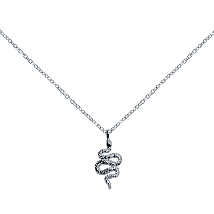 Collar Serpentine Plata