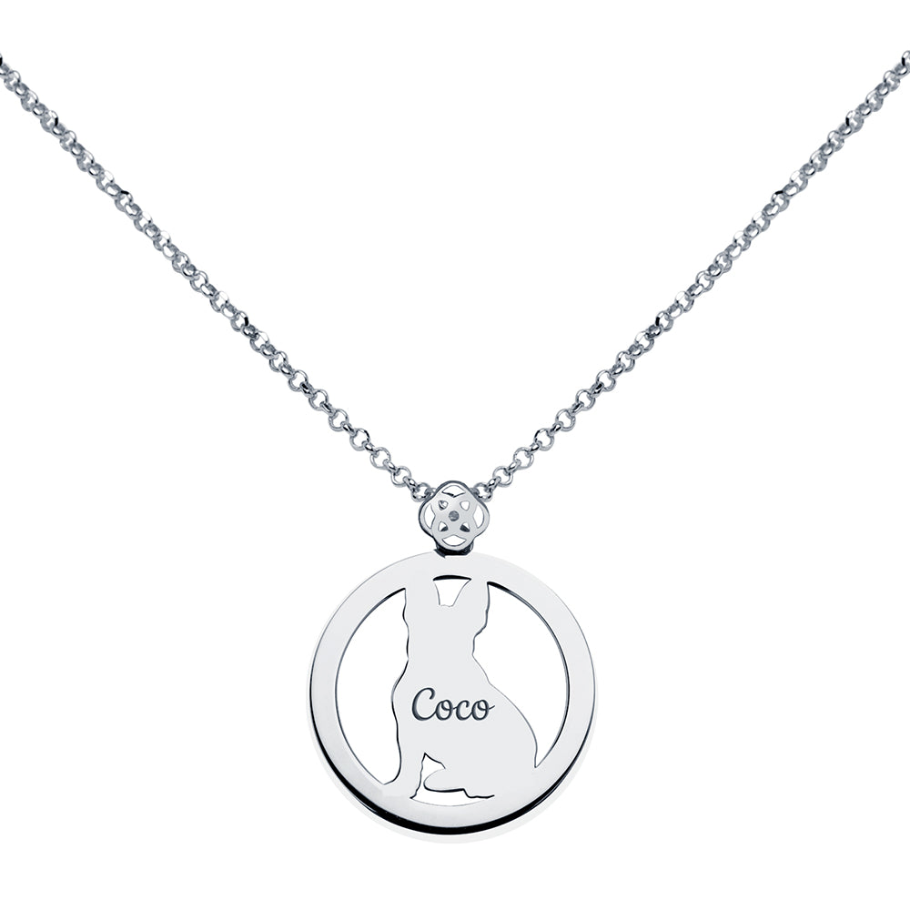 Collar Personalizado con Foto Mascota Halo