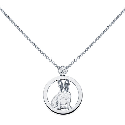 Collar Personalizado con Foto Mascota Halo