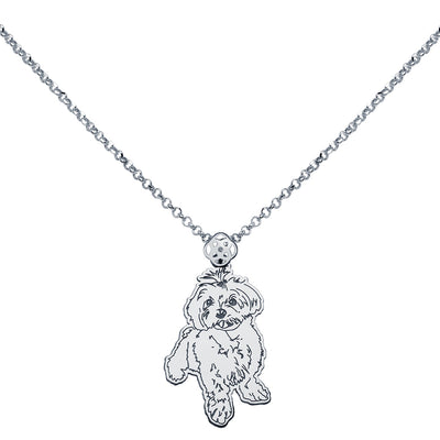 Collar Personalizado con Foto Mascota